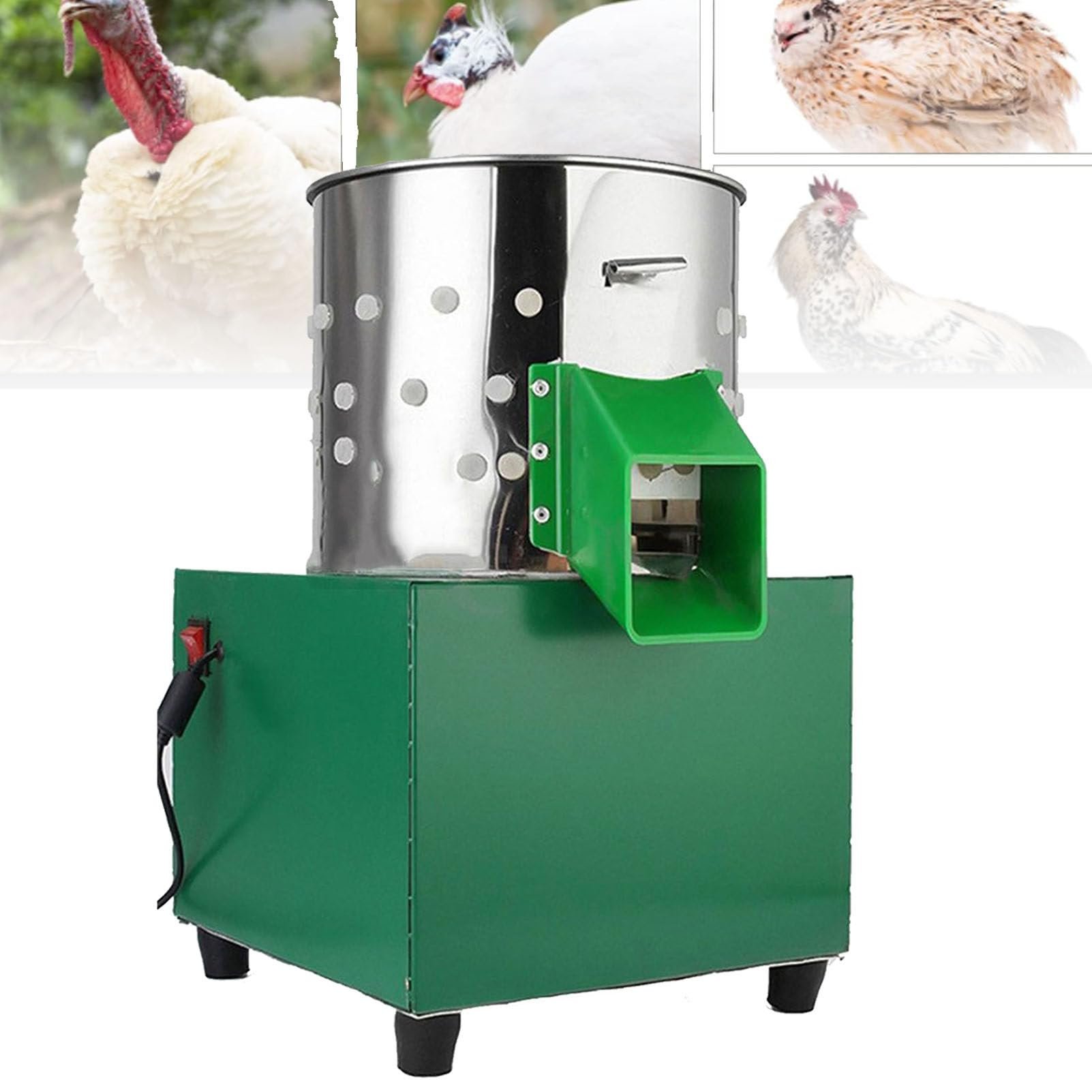 nằm mơ thấy gà trống đá nhau,Giải mã giấc mơ thấy gà trống đá nhau nằm mơ thấy gà trống đá nhau,Giải mã giấc mơ thấy gà trống đá nhau
