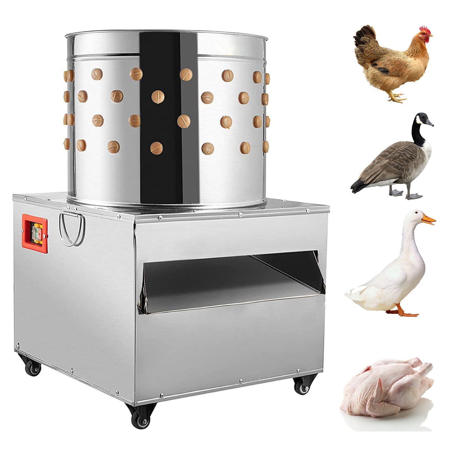 đi đá gà bị bắt xe đi đá gà bị bắt xe
