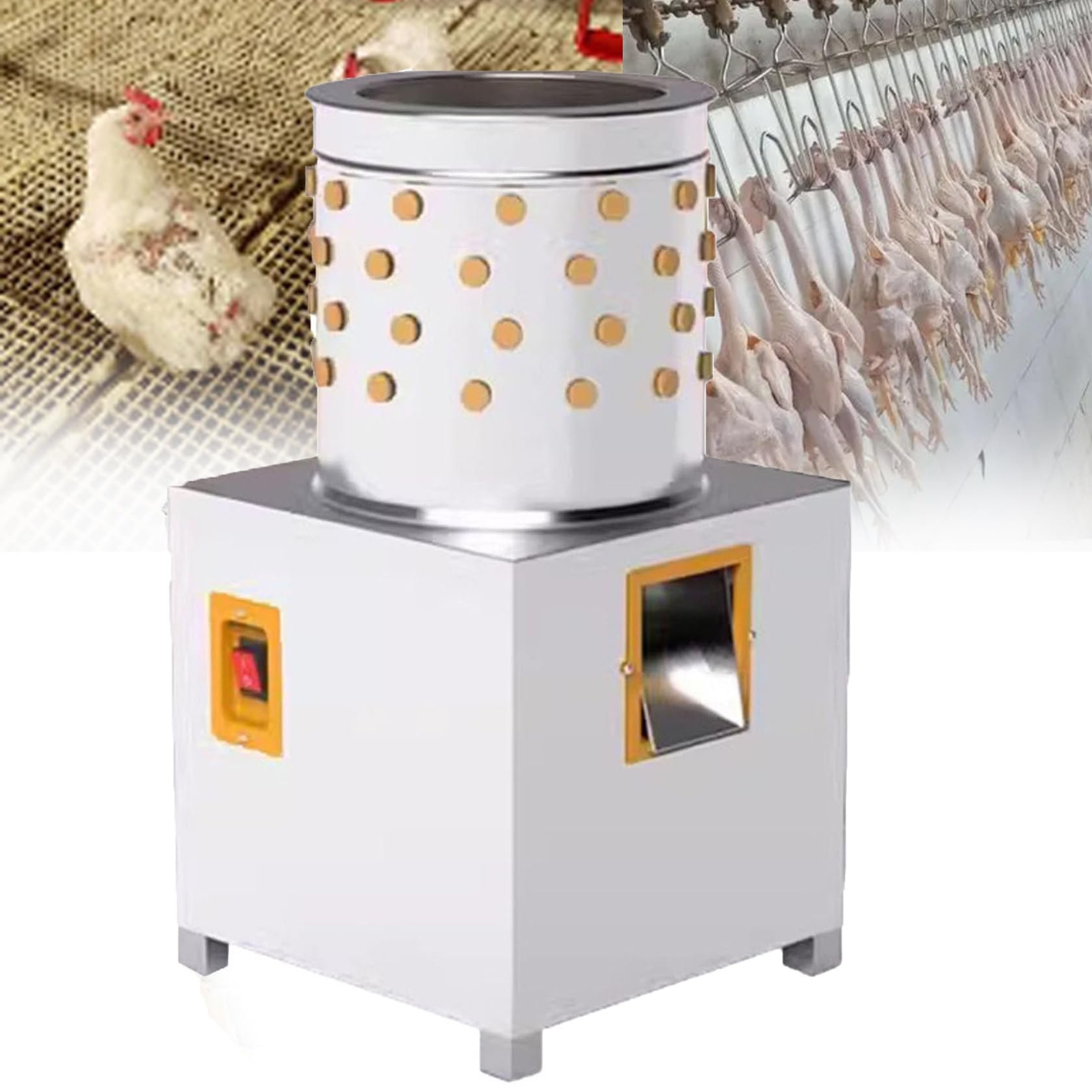 đá gà mỹ hôm nay đá gà mỹ hôm nay