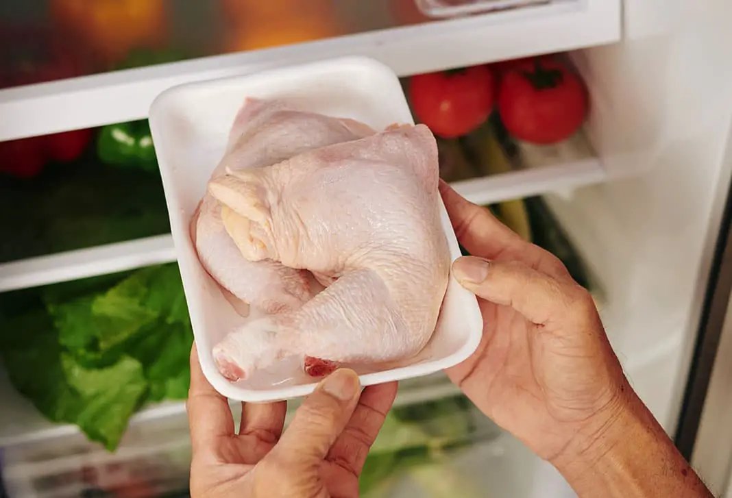 gà đá cựa sắt đỉnh cao gà đá cựa sắt đỉnh cao