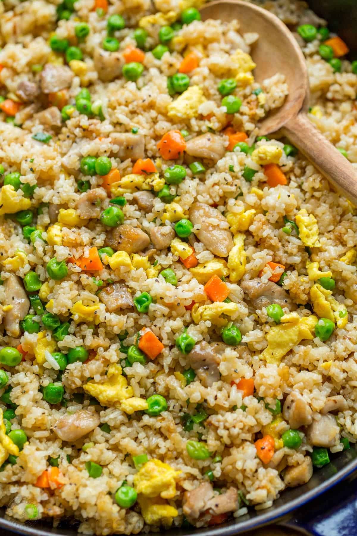 gà đá việt nam gà đá việt nam