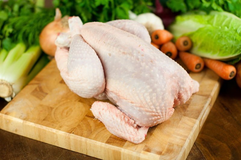 bắt đá gà tia ben tre bắt đá gà tia ben tre