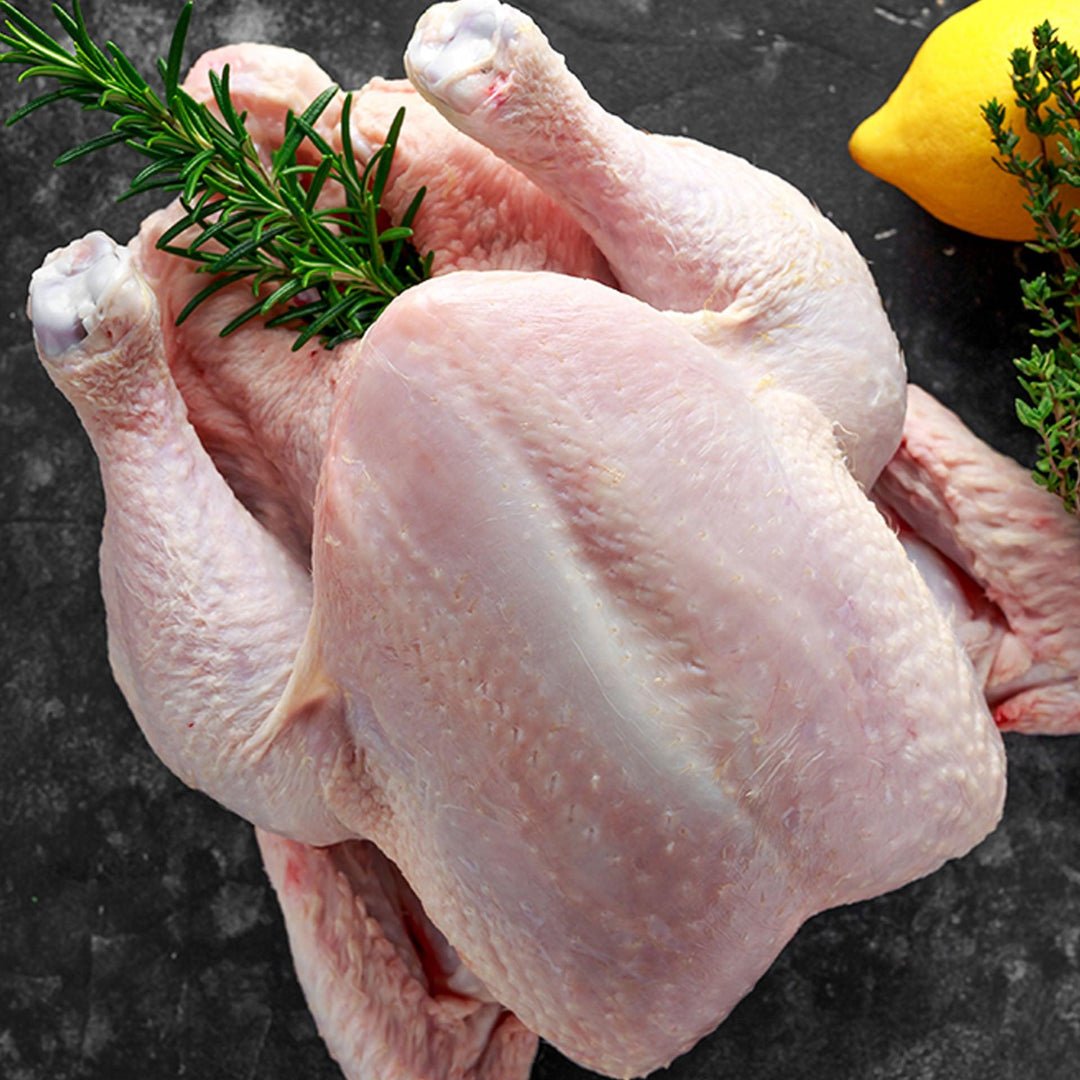 thuốc tăng cơ gà đá thuốc tăng cơ gà đá