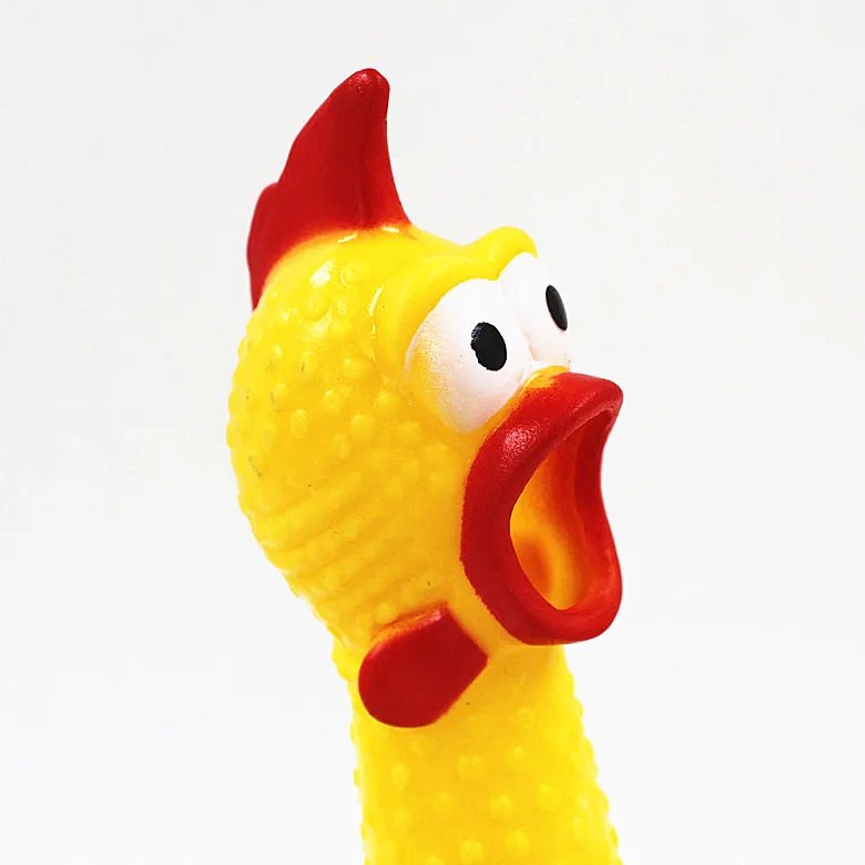 luật đá gà cựa sắt