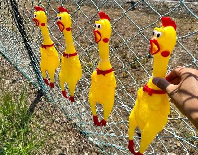 làm chuồng chạy cho gà đá làm chuồng chạy cho gà đá