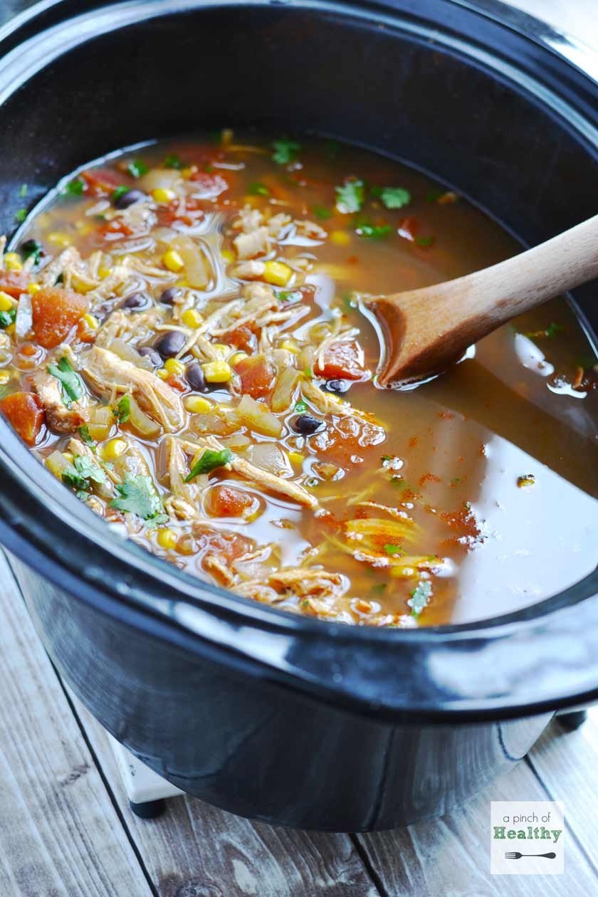 cách đá cầu lông gà cách đá cầu lông gà