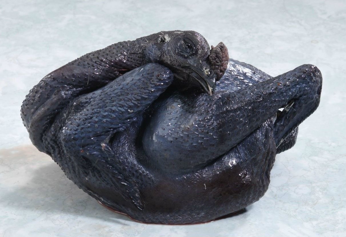 trại gà đá cao lãnh