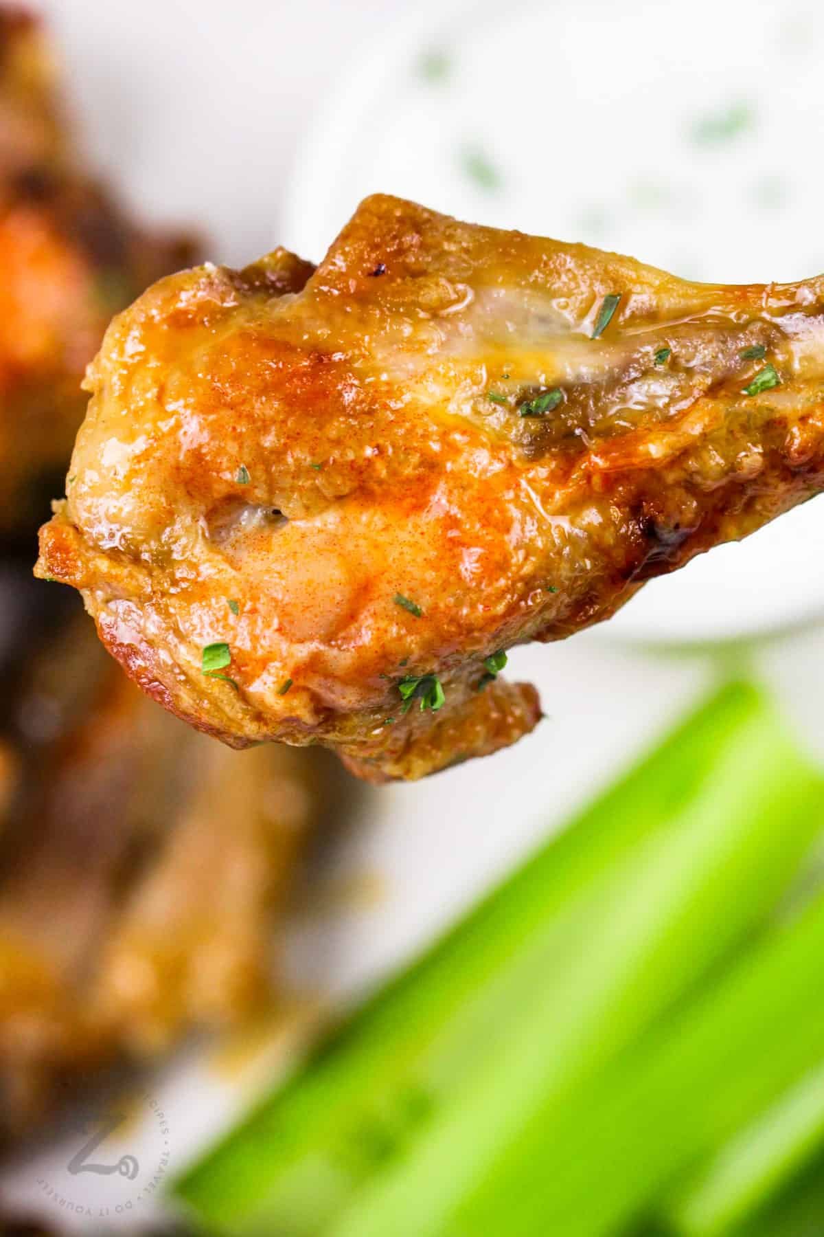 cach điều trị bệnh sỗ mũi cho gà đá cach điều trị bệnh sỗ mũi cho gà đá