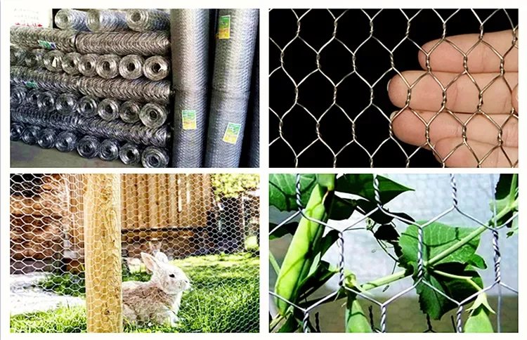 đá gà thomo trực tiếp đá gà thomo trực tiếp