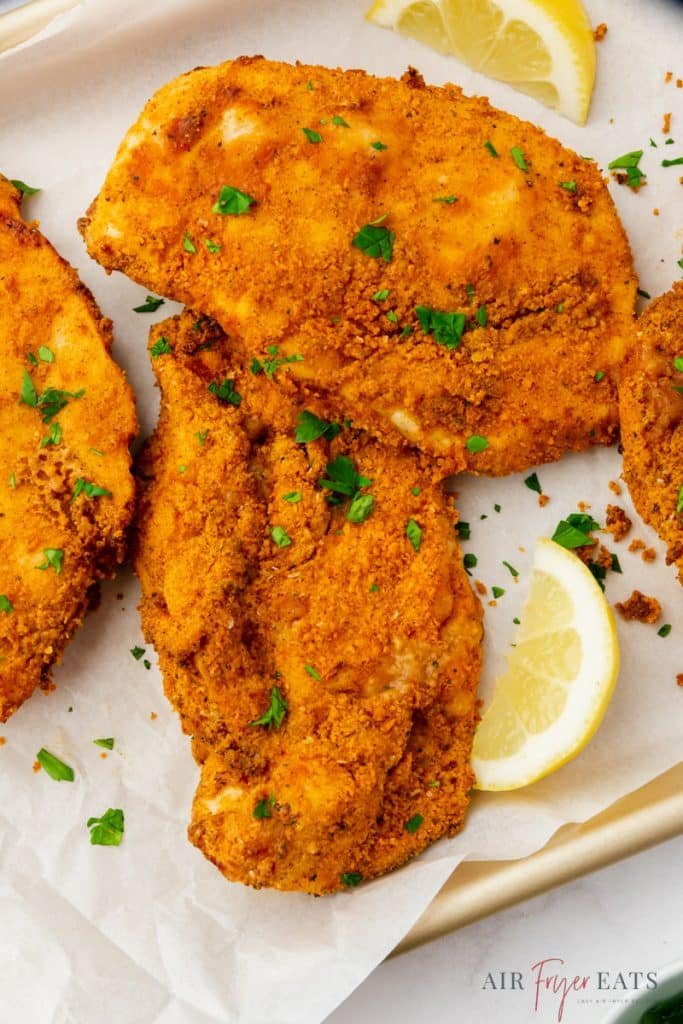 kỹ thuật nuôi gà nòi đá kỹ thuật nuôi gà nòi đá