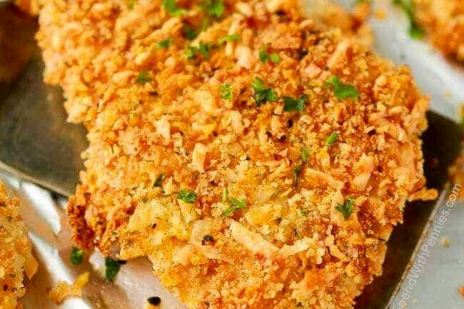 địa chỉ bán ngũ cốc cho gà đá địa chỉ bán ngũ cốc cho gà đá