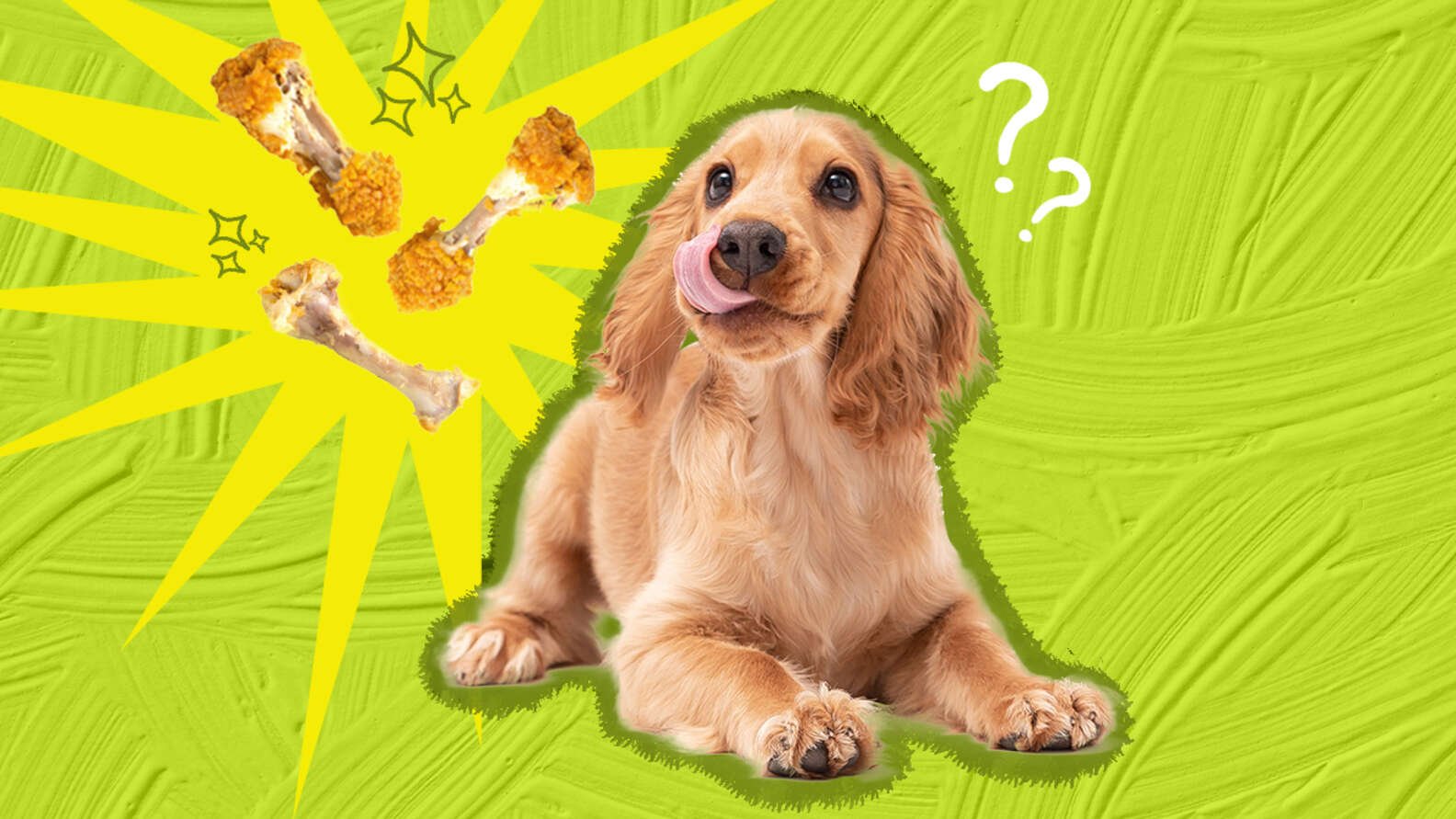 cách chơi đá gà onlỉm cách chơi đá gà onlỉm