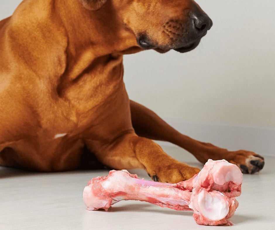 sự tích gà đá sự tích gà đá